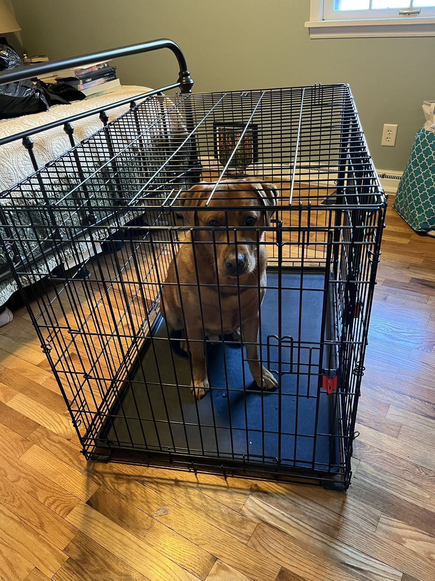 Large Dog Crate