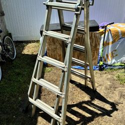 Werner Type IA Heavy-Duty Aluminum Ladder - 300 lbs Capacity - Great Condition!