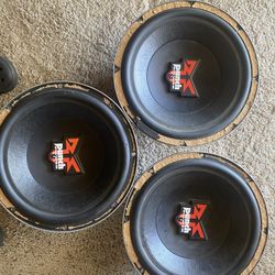 Rockford Fosgate Punch Power DVC 12’s