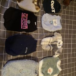 Cat Clothes 