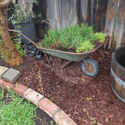 Vintage Wheelbarrow 
