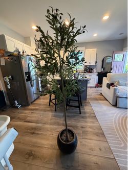 Olive tree with globe ball planter pot