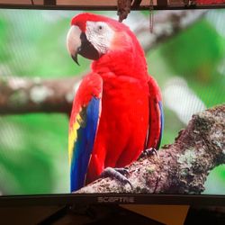 240hz gaming monitor