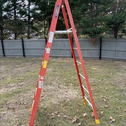 Platform Ladder 