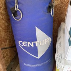 Heavy Bag w/chain
