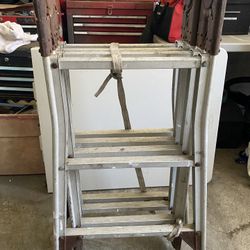 12FT Expandable articulated ladder