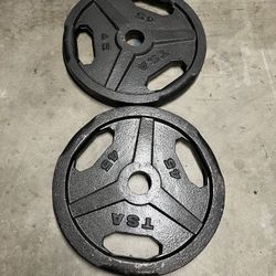 Pair of 45lb Olympic Weights