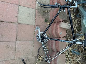 1987 Schwinn circuit (vintage)