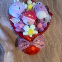 Squishmallows Micromallows Valentine's Day, Patty & Della Plush Bouquet