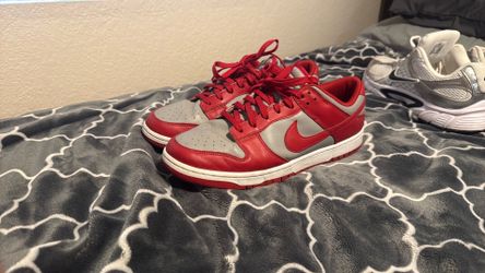 UNLV DUNKS