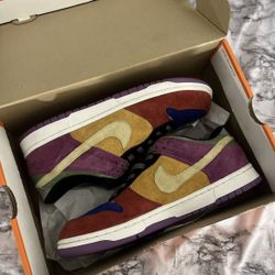  Nike 2002 Dunk Pro B Low Viotech - size 10.5