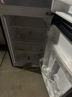 Fridge