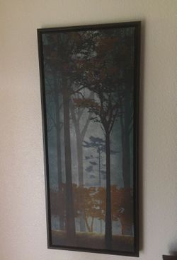 Frame
