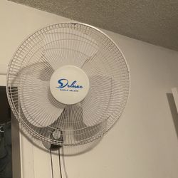 Fan