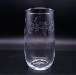Princess House Crystal Glasses