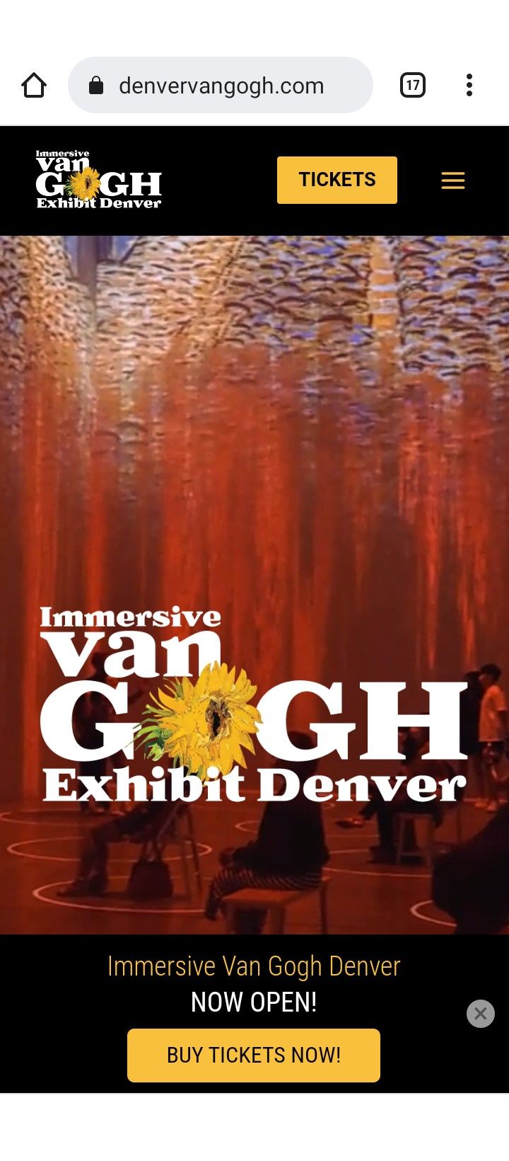Immersive Van Gogh Denver Premium Ticket