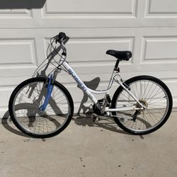Schwinn Hybrid Bike