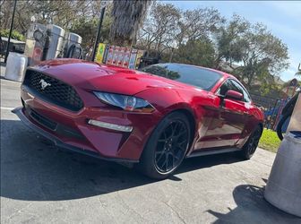 2019 Ford Mustang