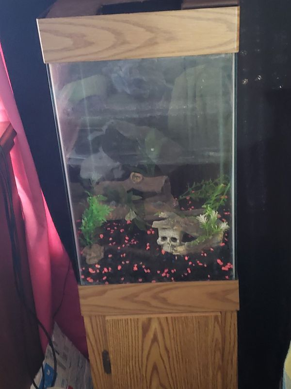 40 gallon fish tank with stand for Sale in Fort Lauderdale