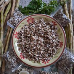 Moringa 