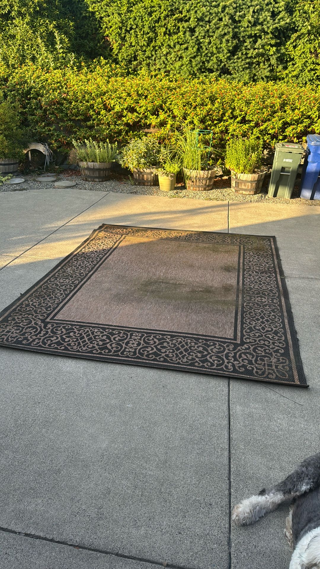 Free Large Outdoor Area Rug