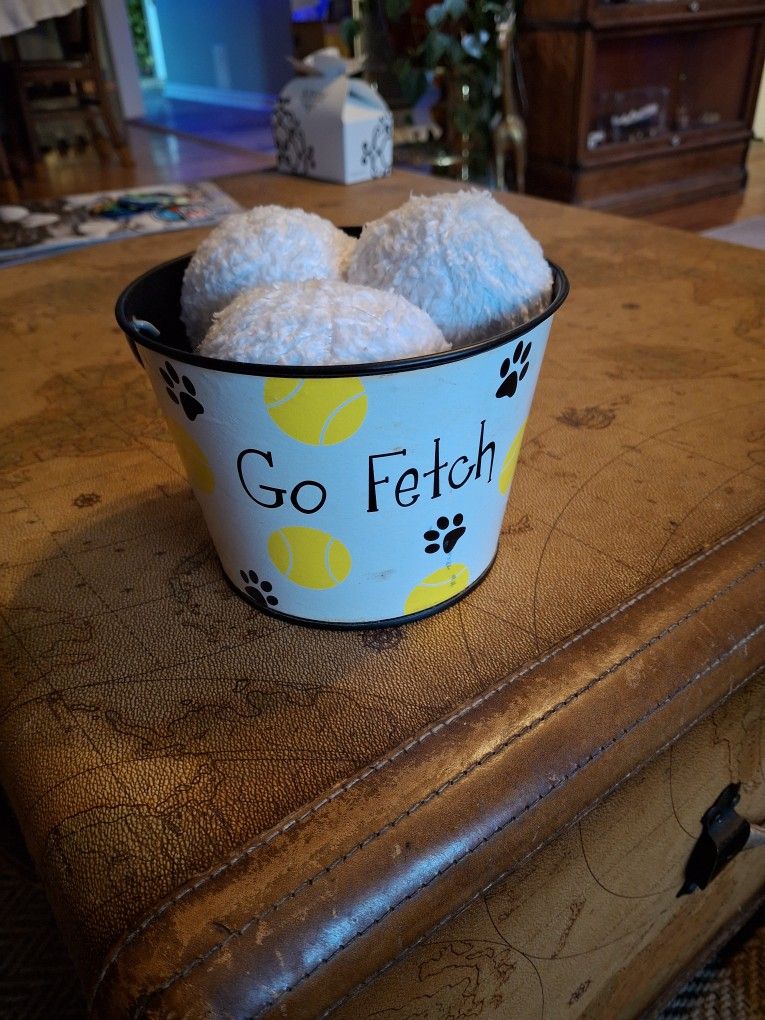 5x6 Cute Bucket Of Balls For Dogs
