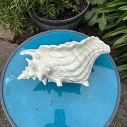Ceramic Vintage Seashell White