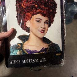 Sanderson Halloween Wig