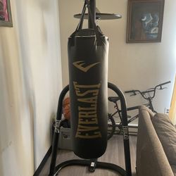 Everlast Heavy Bag And Speed Bag
