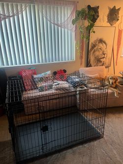 Dog crate