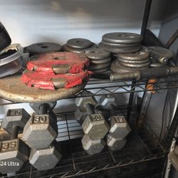 Assorted Free Weight Collection