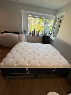 Queen Mattress with Bed Frame