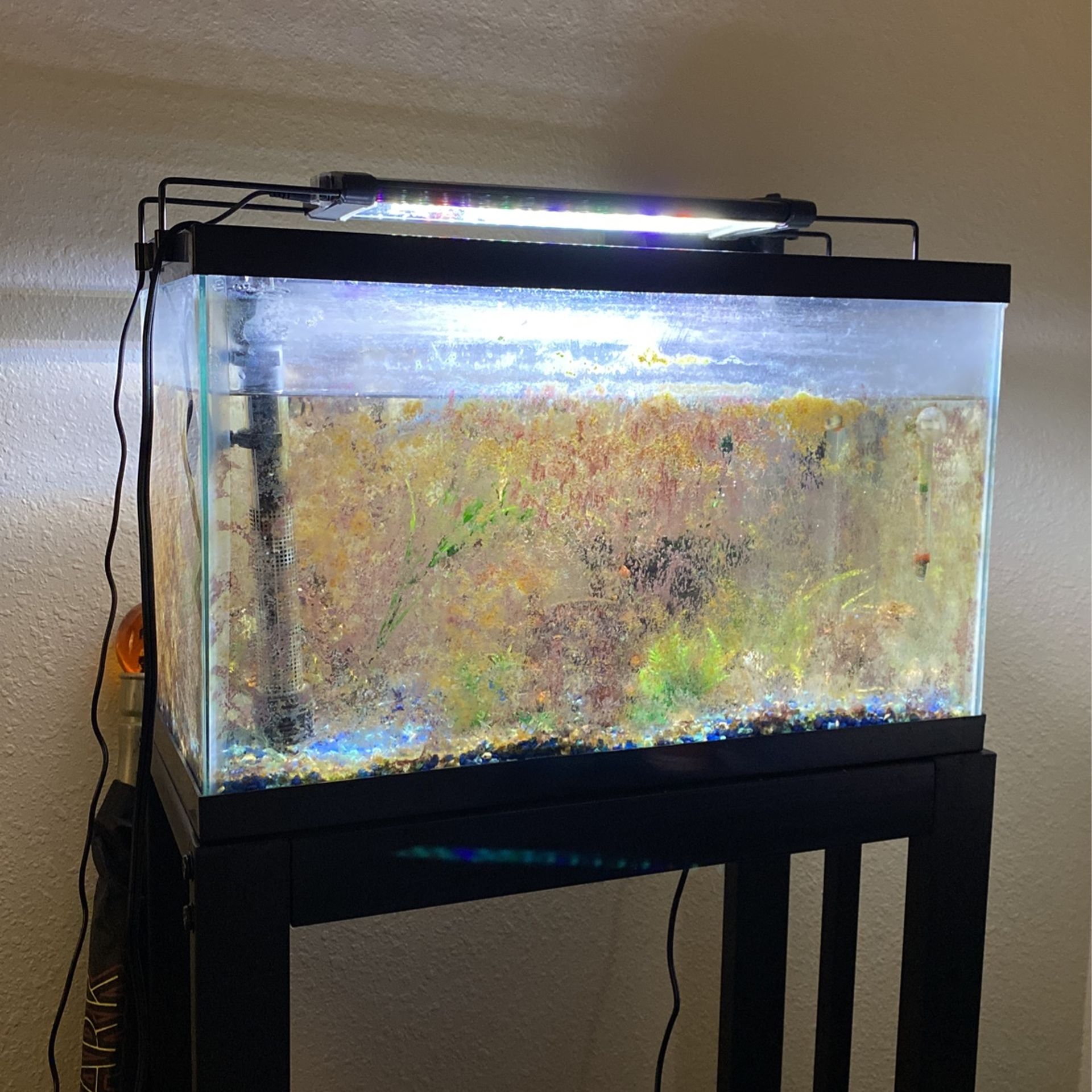 Fish Tank
