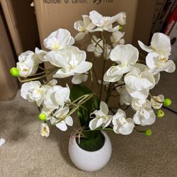 White Silk Orchid With White Ceramic Pot 