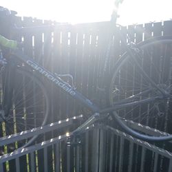 Carbon Fiber Cannondale 2006 Classic For Sale