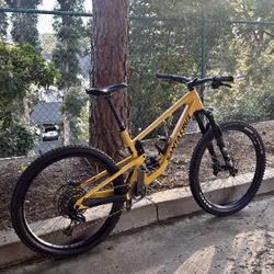 Santa Cruz 2022  5010c Largue 