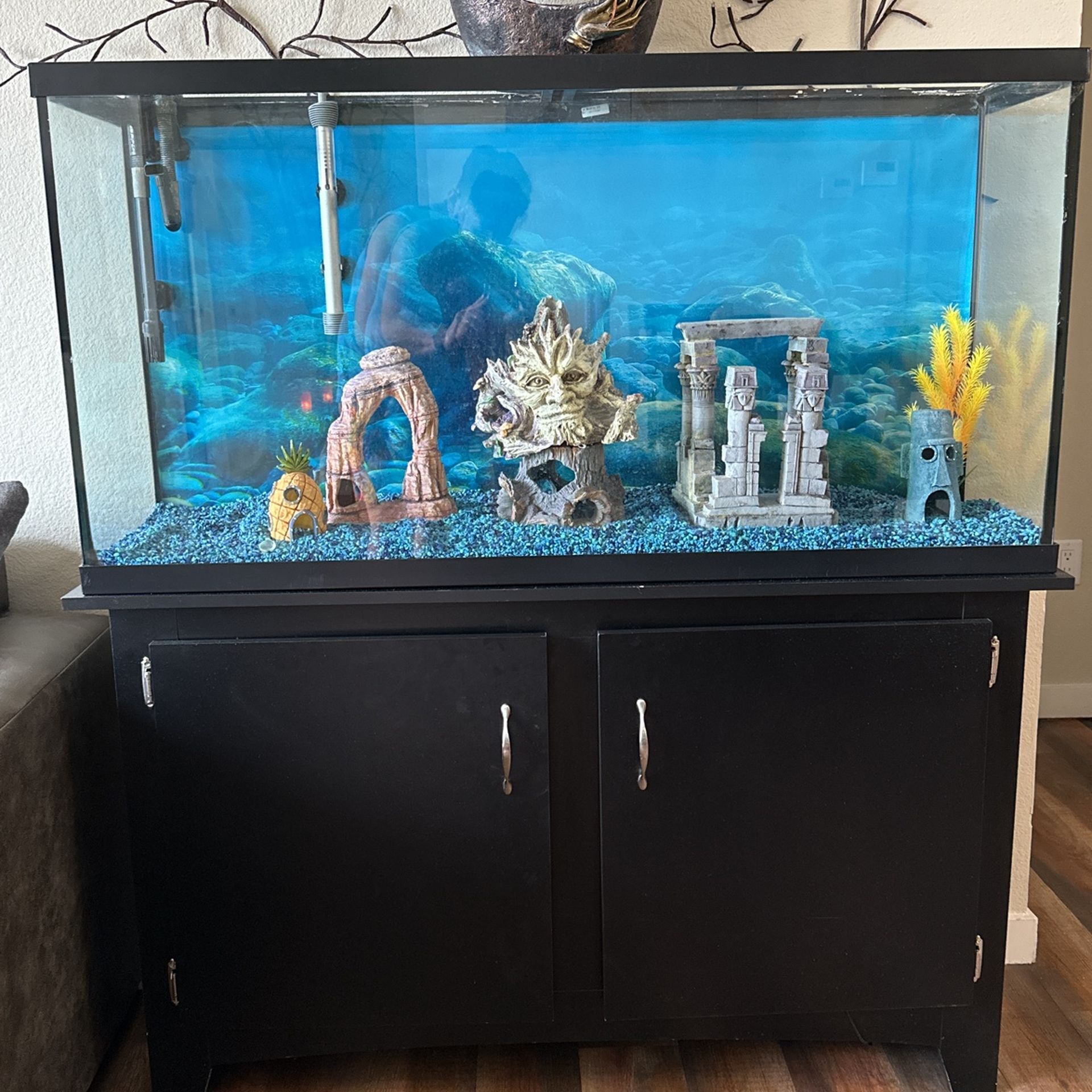 Fish tank