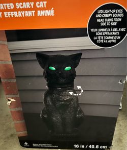 Halloween inside/outside decoration