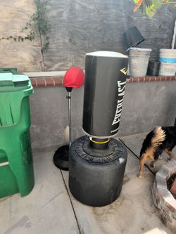 Everlast punching bag and speed bag combo