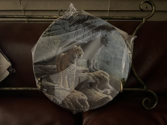 Bradford Exchange Collectible Plates