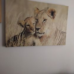 Best In Person Offers Its Still Available NE Philly 19114