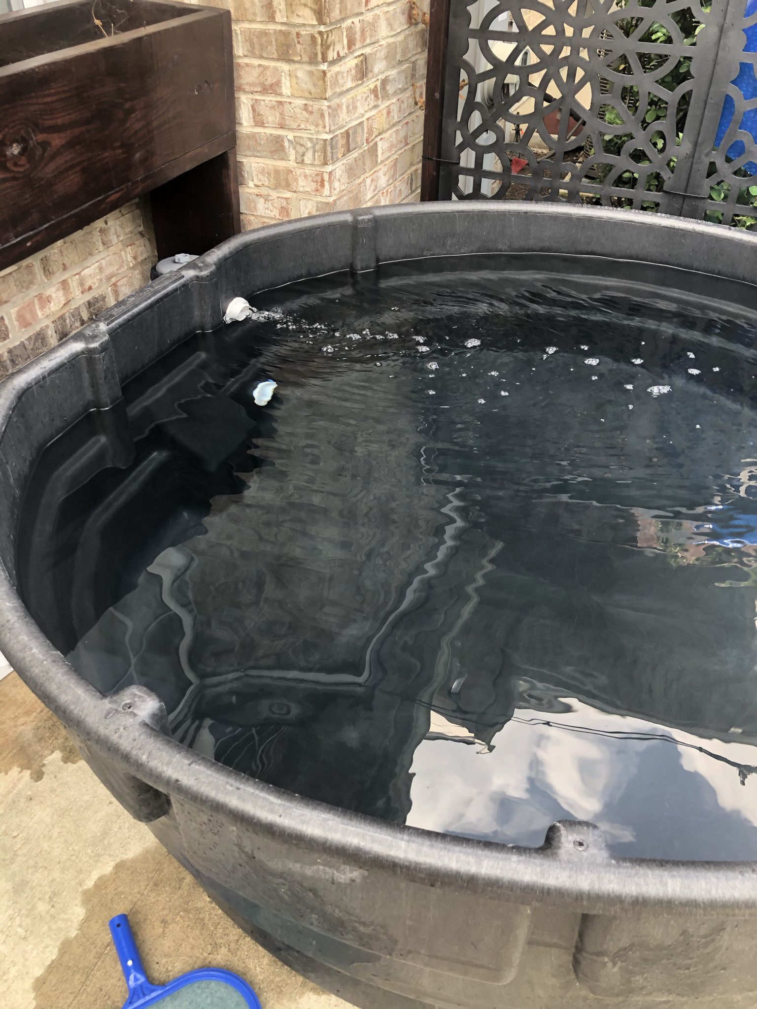 300 Gallon Stock Tank Turned Into Pool/hot Tub 
