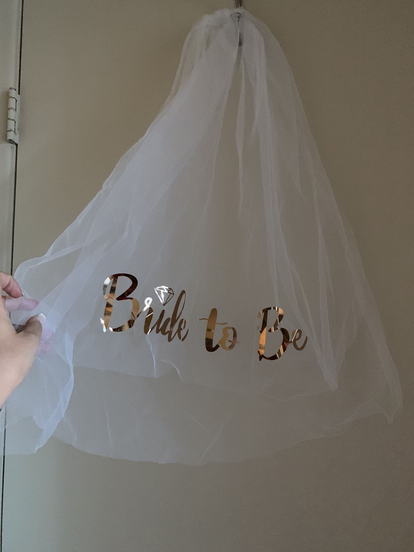 Bridal shower/Bachelorette Party Decorations
