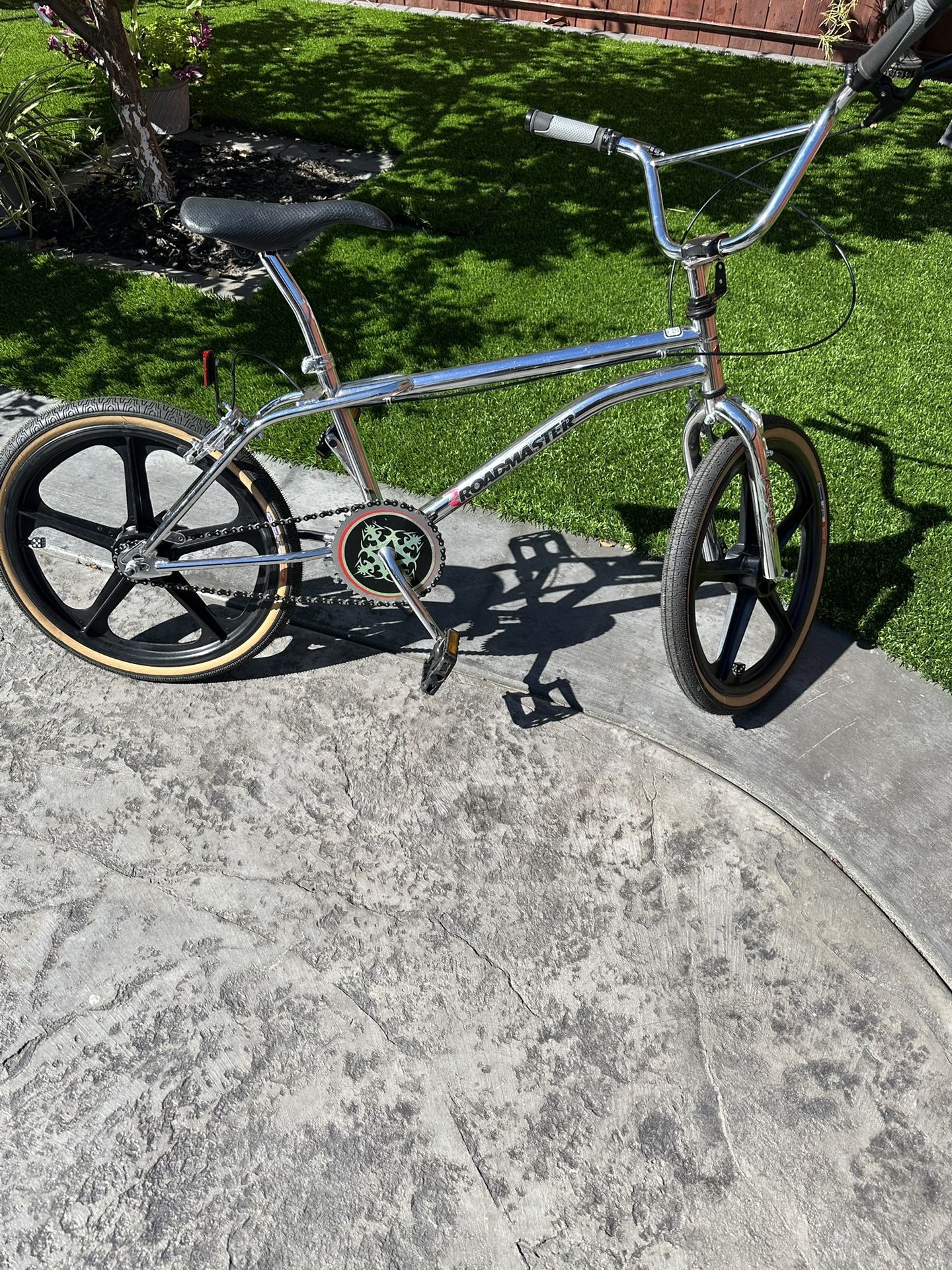ROADMASTER 20” Wheel  Bike.