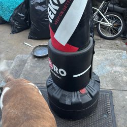 Punching Bag 
