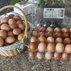 Chicken eggs