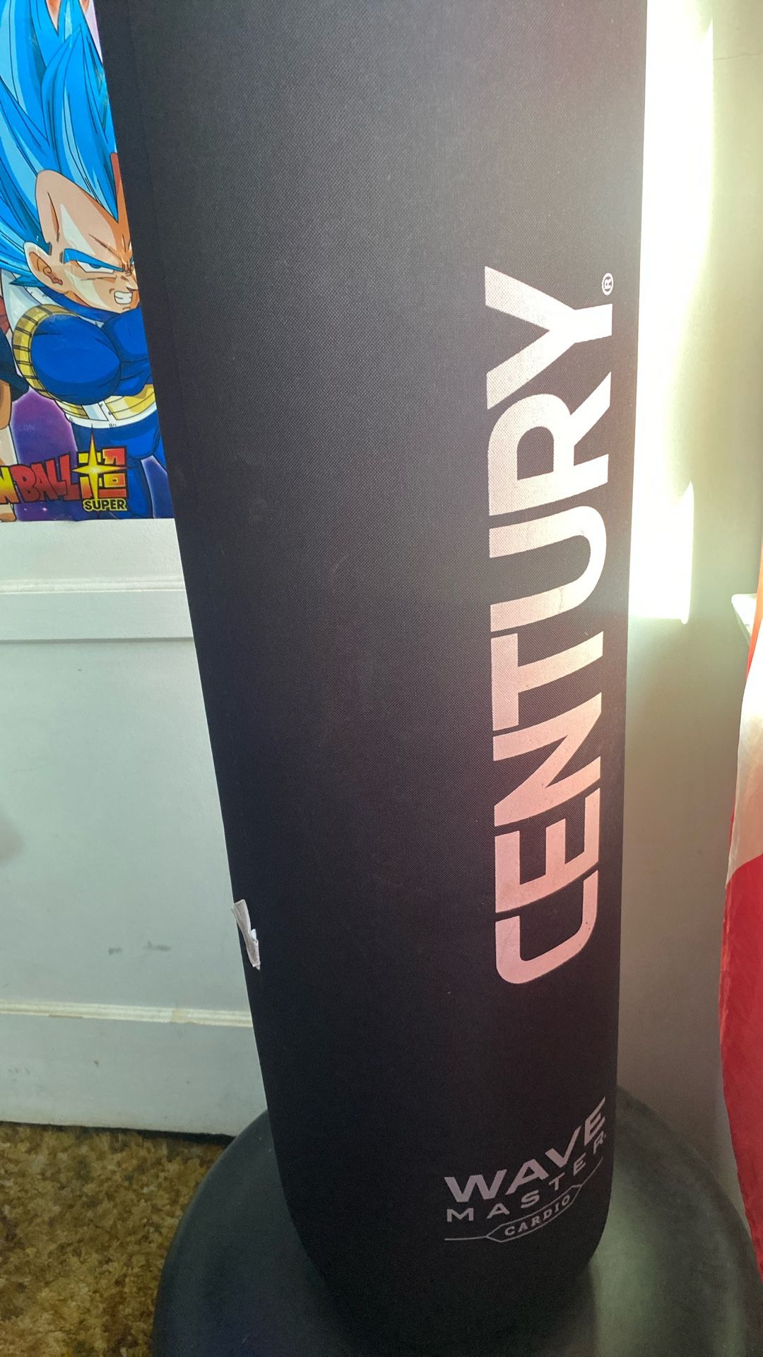 Century Punching Bag
