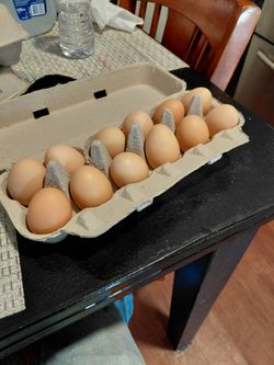 Fresh eggs