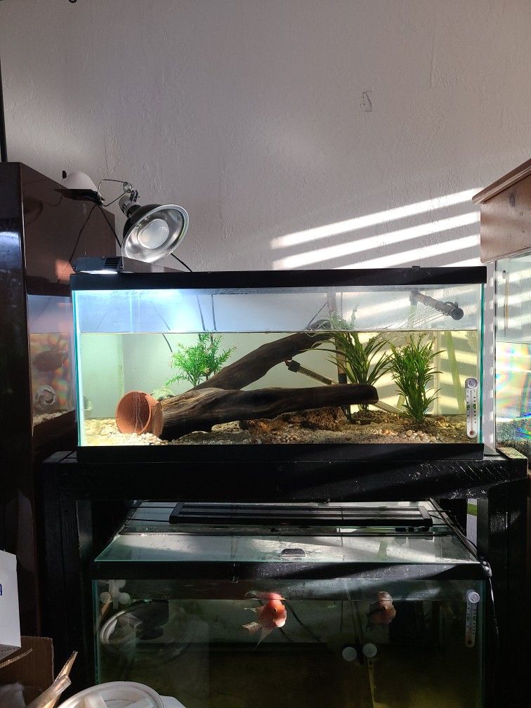 40 Breeder Aquarium Complete Setup 