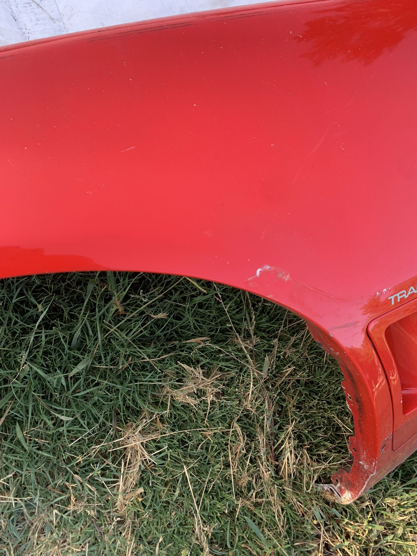 87 Firebird Trans Am Fender